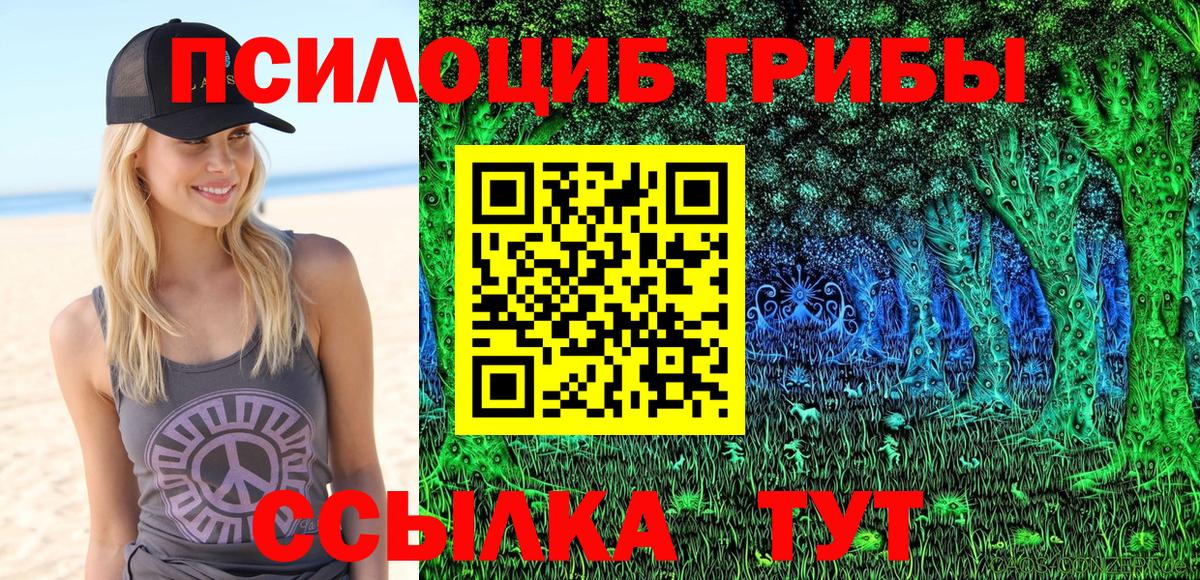 Избербаш  Псилоцибиновые грибы MAGIC MUSHROOMS  Вход с VPN 